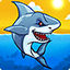 Shark Attack